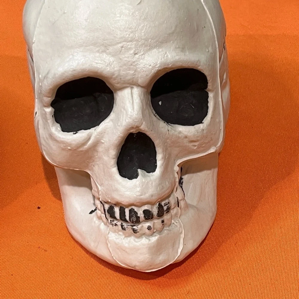 6/$25 Gray and White Skull Decor Set - Picture 7 of 15